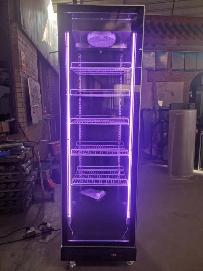 R290 однодверный холодильник вертикальный холодильник с коммерческим дисплеем для напитков 1